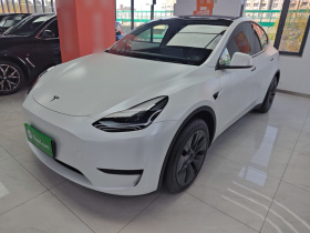 特斯拉 Model Y 2024款 后轮驱动版