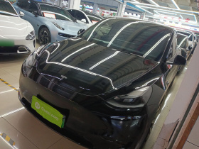 特斯拉 Model Y 2022款 后轮驱动版