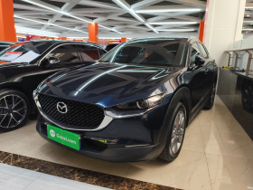 马自达CX-30 2020款 2.0L 自动嘉悦型