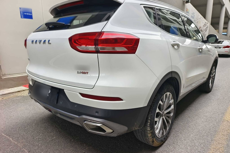 哈弗H6 2020款 2.0GDIT 自动铂金豪华版车身外观6005