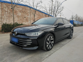 大众 帕萨特 2025款 Pro 380TSI 龙运版