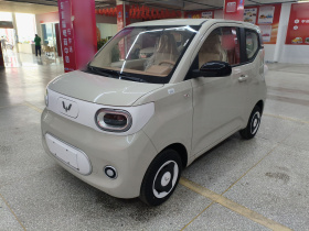 五菱汽车 宏光MINIEV 2024款 第三代 215km 青春版