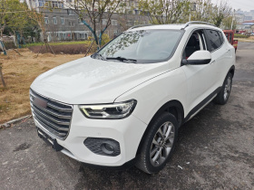 哈弗H2s 2017款 红标 1.5T 双离合豪华型