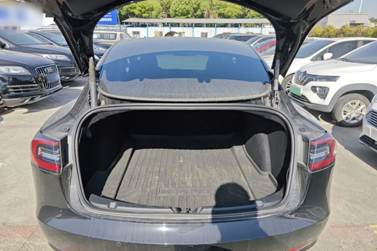 特斯拉 Model 3 2021款 标准续航后驱升级版 3D6局部细节23
