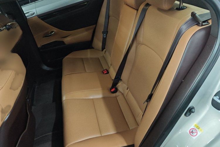 雷克萨斯ES 2018款 200 豪华版 国V中控内饰7004