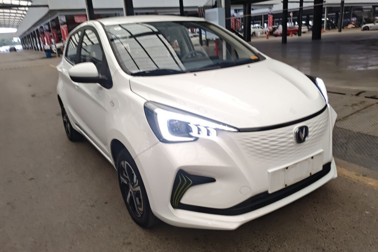 长安欧尚 奔奔E-Star 2022款 赏心版 多彩款 磷酸铁锂车身外观6002