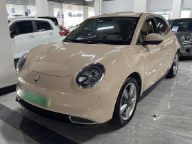 欧拉好猫 2021款 400km标准续航 公务版 三元锂