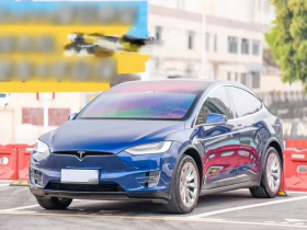 特斯拉 Model X 2019款 长续航版