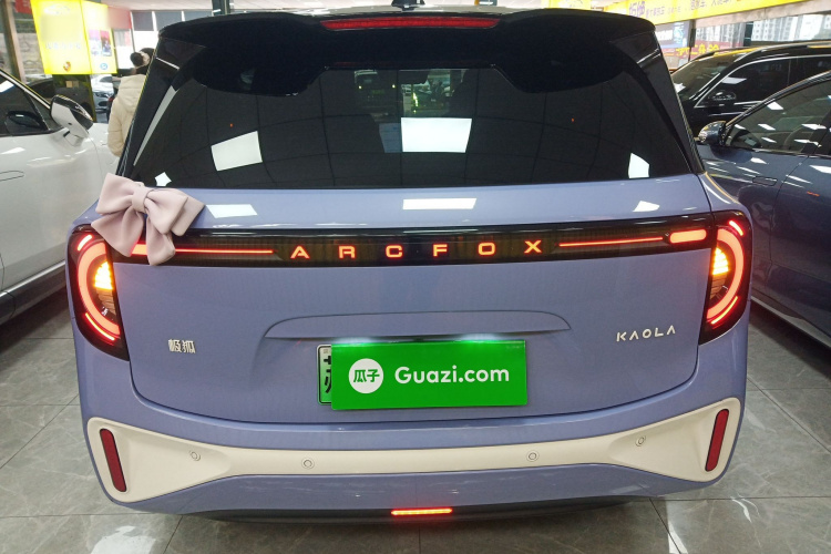 ARCFOX极狐 极狐考拉 2023款 家庭版Pro车身外观6