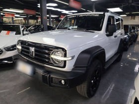 坦克300 2023款 越野版 2.0T 征服者