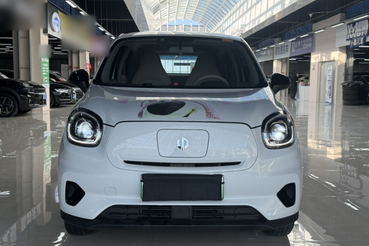 零跑汽车 零跑T03 2024款 403舒享版车身外观6009