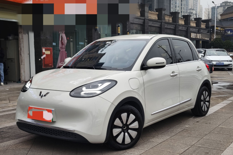 五菱汽车 五菱缤果 2023款 333km 悦享+款车身外观6002