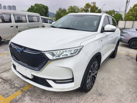 长安欧尚X7 2021款 1.5T 人脸识别全自动泊车太空逍遥版