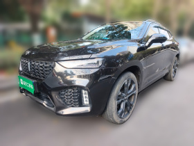 魏牌 VV7 2019款 升级款 2.0T 旗舰型 国V