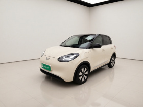 五菱汽车 五菱缤果 2025款 333km 悦享款