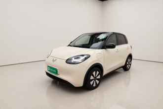 五菱汽车 五菱缤果 2025款 333km 悦享款