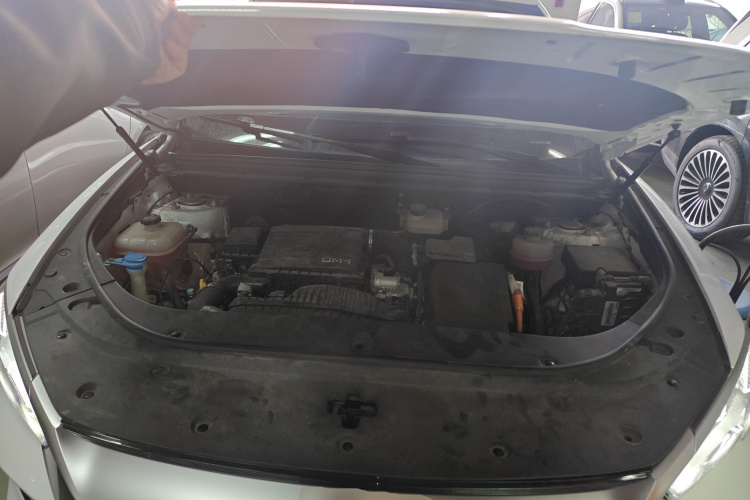 比亚迪 宋Pro新能源 2023款 冠军版 DM-i 110KM卓越型机舱底盘24