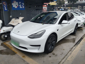 特斯拉 Model 3 2021款 标准续航后驱升级版