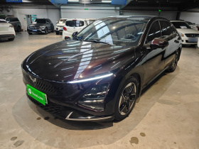 五菱汽车 五菱星光 2023款 150 进阶版