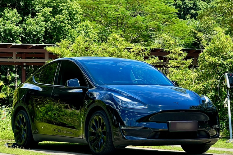 特斯拉 Model Y 2021款 标准续航后驱版车身外观6005