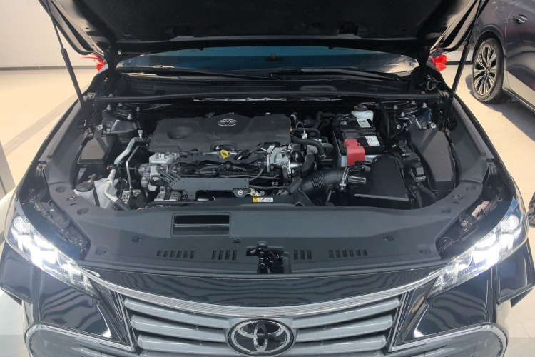 丰田 亚洲龙 2021款 2.5L 豪华版局部细节24