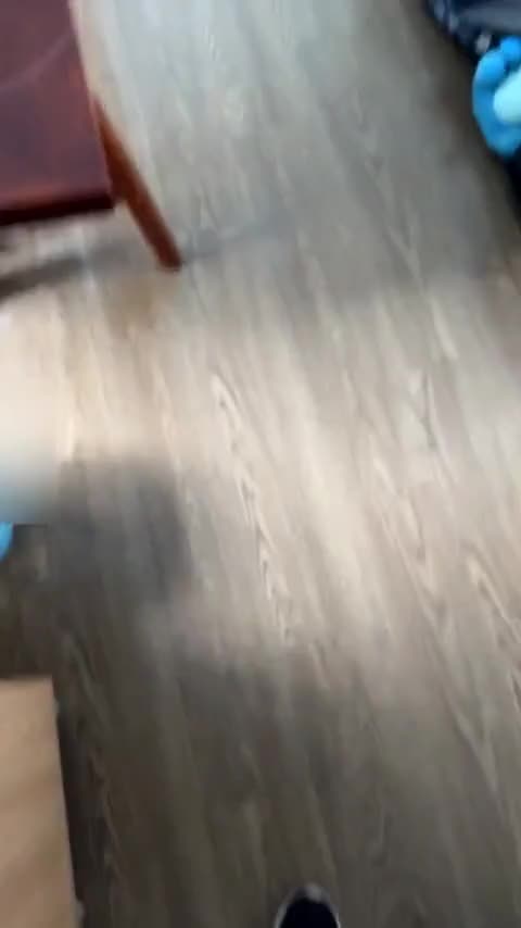 特斯拉 Model 3 2020款 改款 标准续航后驱升级版讲解2