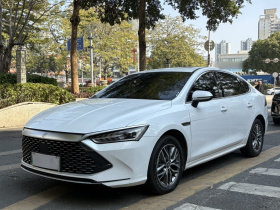 比亚迪 秦PLUS 2023款 冠军版 DM-i 120KM卓越型