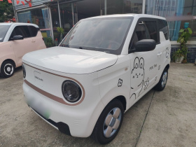 吉利银河 2023款 熊猫mini 120km 超萌熊