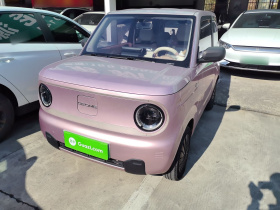 吉利银河 2023款 熊猫mini 200km 耐力熊