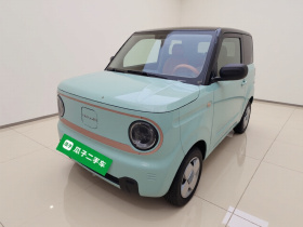 吉利银河 2023款 熊猫mini 120km 超萌熊