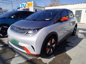 比亚迪 海豚 2021款 401km 骑士版