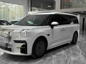 极氪009 2022款 改款 WE版