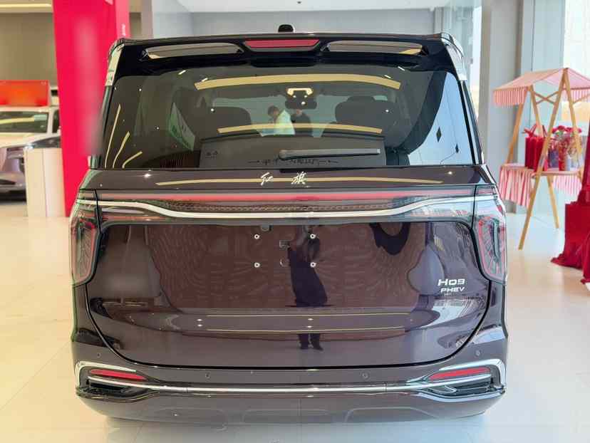 红旗HQ9 PHEV 2024款 2.0T 四驱商务版(5)