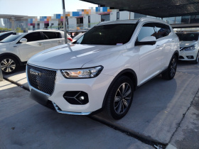 哈弗H6 2021款 1.5GDIT 自动冠军版