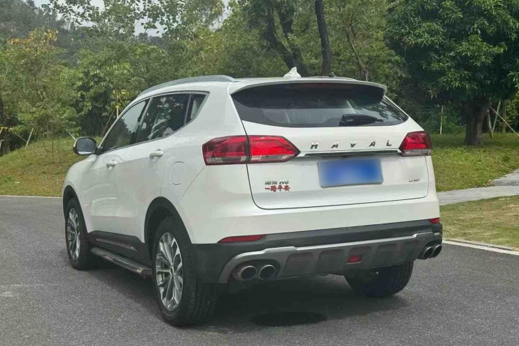 哈弗H6 2019款 蓝标 2.0GDIT 自动豪华智联版车身外观6005