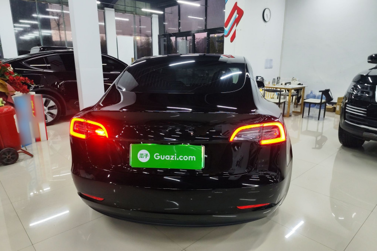 特斯拉 Model 3(进口) 2019款 长续航全轮驱动版车身外观6004