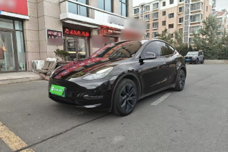 特斯拉 Model Y 2023款 长续航全轮驱动版