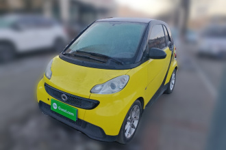 smart fortwo 2013款 1.0 MHD 新年特别版