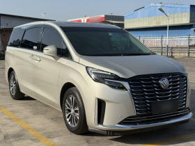 别克GL8 2020款 ES陆尊 653T 舒适型