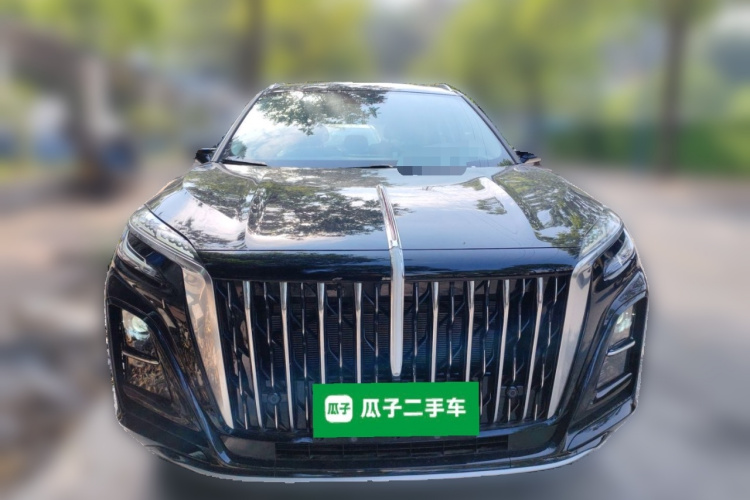 红旗HS3 PHEV 2025款 117km 劲为版车身外观2