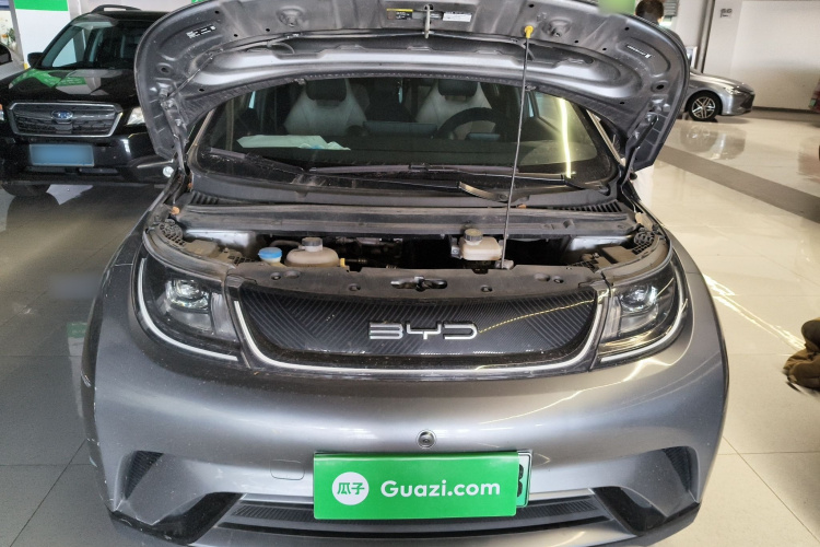 比亚迪 海豚 2023款 420km 自由版机舱底盘24