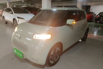 欧拉白猫 2020款 305km 豪华型