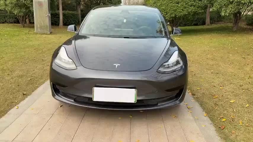 特斯拉 Model 3(进口) 2019款 标准续航后驱升级版(52度)实拍1