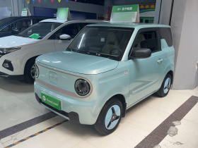 吉利银河 2023款 熊猫mini 200km 耐力熊