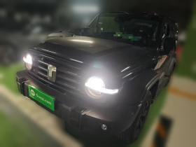 坦克300 2024款 2.0T 挑战者