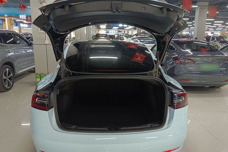 特斯拉 Model 3 2021款 Performance高性能全轮驱动版 3D6局部细节23