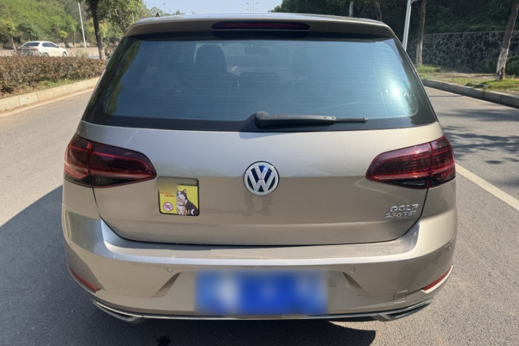 大众 高尔夫 2018款  230TSI 自动豪华型车身外观6006