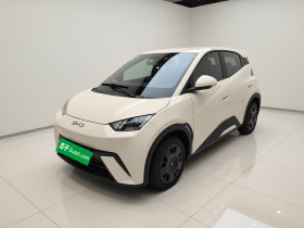 比亚迪 海鸥 2023款 活力版