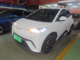 比亚迪 海鸥 2023款 飞翔版