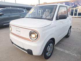 吉利银河 2024款 熊猫mini 200km 耐力熊